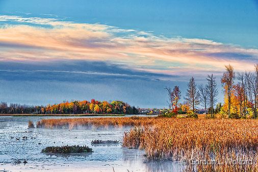 Autumn Swale At Sunrise_28987.jpg - Photographed along the Rideau Canal Waterway at Smiths Falls, Ontario, Canada.